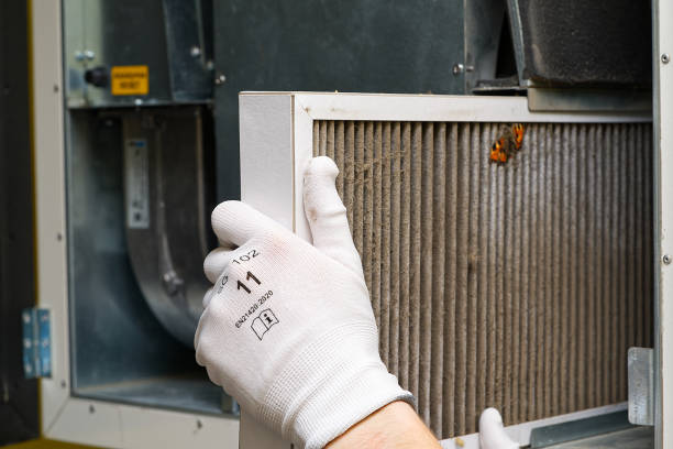 Best Best Air Duct Cleaning Near Me  in Cutlerville, MI