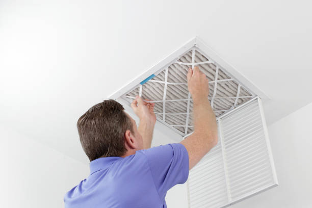 Best HVAC Air Duct Cleaning  in Cutlerville, MI